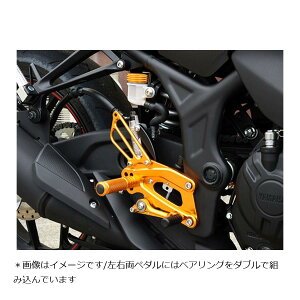 BABY FACE (�x�r�[�t�F�C�X) �o�b�N�X�e�b�v �S�[���h YZF-R25 002-Y017GD