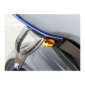 BABY FACE (�x�r�[�t�F�C�X) ���[�V���O�t�b�N YZF-R1 �S�[���h 005-FY004GD