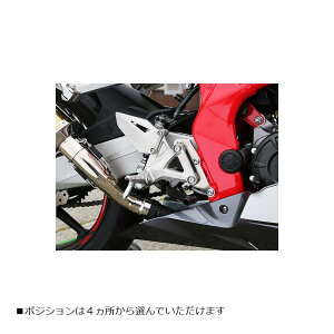 BABY FACE (�x�r�[�t�F�C�X) �Z�b�g�o�b�N�v���[�g CBR250RR �V���o�[ �o�b�N�X�e�b�v �V�t�^�[�X�C�b�`������ 002-BH003SV