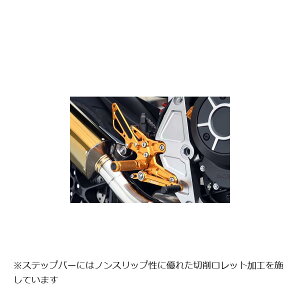 BABY FACE (�x�r�[�t�F�C�X) �o�b�N�X�e�b�v�L�b�g CB1000R �S�[���h 002-H035GDA