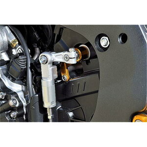 BABY FACE (�x�r�[�t�F�C�X) �V�t�g�X�s���h���z���_�[ CBR1000RR 002-H040S