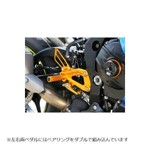 BABY FACE (�x�r�[�t�F�C�X) �o�b�N�X�e�b�v�L�b�g GSX-R1000 �A���~ �S�[���h 002-S020GD