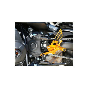 BABY FACE (�x�r�[�t�F�C�X) �o�b�N�X�e�b�v�L�b�g MT-09 FZ-09 �A���~ �S�[���h 002-Y020GDR