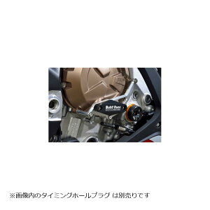 BABYFACE(xr[tFCX) GWXC_[E S1000RR 0201-006-SBM10R