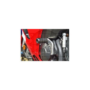 BABY FACE (�x�r�[�t�F�C�X) �G���W���X���C�_�[ CBR600RR 006-SH041