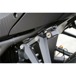 BABY FACE (�x�r�[�t�F�C�X) �w�����b�g���b�N YZF-R25 �u���b�N 009-LCY08BK