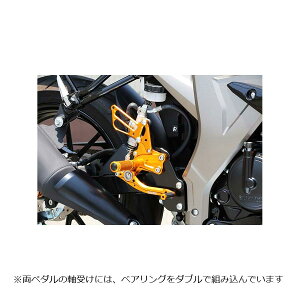 �x�r�[�t�F�C�X ���[�X�X�e�b�v�L�b�g �S�[���h GSX-R125/150 18- R02-S004GD