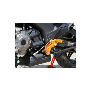 BABYFACE (�x�r�[�t�F�C�X) �X�e�b�v�L�b�g ���V�t�g �S�[���h Z125 Pro 16- R02-K006GD