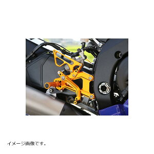 BABYFACE (�x�r�[�t�F�C�X) ���[�X�R���Z�v�g�X�e�b�v�L�b�gVr.18 �S�[���h YZF-R6 06-16 R02-Y007GD