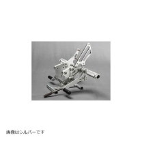 楽天市場】zx12r バックステップの通販