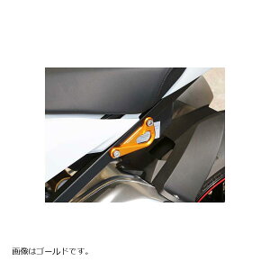 BABY FACE (�x�r�[�t�F�C�X) ���[�V���O�t�b�N S1000RR �V���o�[ 005-FBM01SV