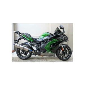 BEET (r[g) iT[g-Evo TYPE2 XbvI NA`^ Ninja H2 SX SE 0222-KG8-50