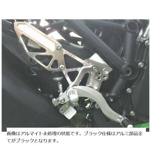 BEET (r[g) nCp[oN Œ莮 ubN Ninja H2SX /SX SE 0111-KE6-24