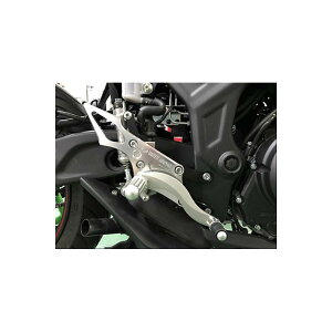BEET (r[g) nCp[oN Œ莮 Vo[ YZF-R25/R3 0111-Y48-20