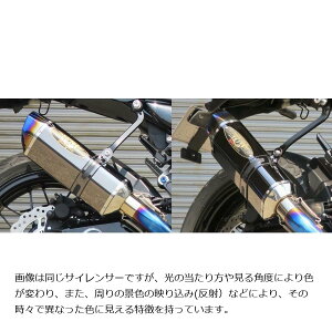 BEET (r[g) iT[g-Evo TYPE2 XbvI ^ubN ZX-10RR /ZX-10R 0222-KE1-MB