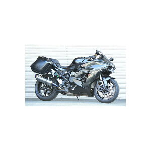 BEET (r[g) iT[g-Evo TYPE2 XbvI NA`^ NINJA H2 SX/SX SE 0222-KE6-50