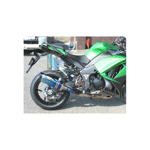 BEET (ビート) ナサート-Evo TYPE2 T2P ブルーチタン NINJA1000ABS パニアケース対応 0223-KD6-BL