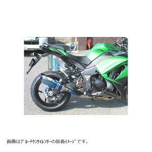 BEET (ビート) ナサート-Evo TYPE2 T2P メタルブラック NINJA1000ABS パニアケース対応 0223-KD6-MB