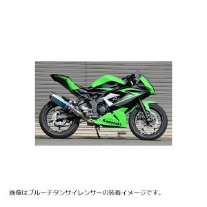 BEET (r[g) iT[gR-Evo TYPE2 NA`^ Ninja250SL ST250Fp[VO}t[ 1003-B24-50