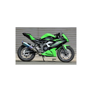 BEET (r[g) iT[gR-Evo TYPE2 u[`^ Ninja250SL ST250Fp[VO}t[ 1003-B24-BL