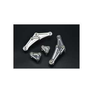 WOODSTOCK (EbhXgbN) GWnK[Lbg ^Cv1 Vo[ Z900RS EHB-K36-SL