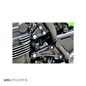 WOODSTOCK(EbhXgbN) GWnK[Lbg ^Cv2 Vo[ Z900RS EHB-K36SP-SL