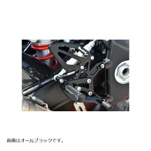 WOODSTOCK (EbhXgbN) obNXebvLbg I[Vo[ BMW S1000RR WBS-BM04-SL