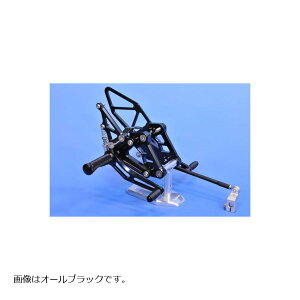 WOODSTOCK (�E�b�h�X�g�b�N) �o�b�N�X�e�b�v�L�b�g �I�[���V���o�[ CBR1100XX WBS-H09-SL