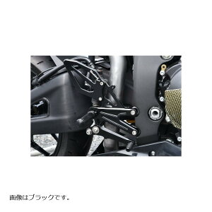 WOODSTOCK (EbhXgbN) obNXebvLbg Vo[ CBR600RR IvVI[gVt^[tԗp WBS-H18R-SL