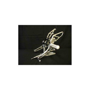 WOODSTOCK (�E�b�h�X�g�b�N) �X�e�b�v�L�b�g 4POS ZRX1100/1200/DAEG WBS-K06-00