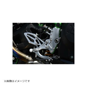 WOODSTOCK (EbhXgbN) obNXebvLbg I[Vo[ Z H2/Z H2 SE WBS-K44-SL