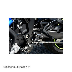 WOODSTOCK (EbhXgbN) obNXebvLbg I[ubN GSX-R1000 WBS-S14-BB