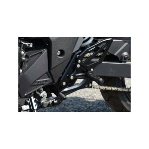 WOODSTOCK (EbhXgbN) obNXebvLbg I[ubN GSX-250R WBS-S15-BB