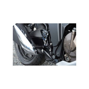 WOODSTOCK (EbhXgbN) obNXebvLbg I[ubN WNT[SF250/WNT[250 WBS-S21-BB