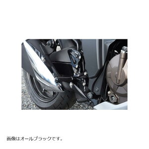 WOODSTOCK (EbhXgbN) obNXebvLbg I[Vo[ WNT[SF250/WNT[250 WBS-S21-SL