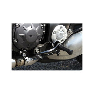 WOODSTOCK (EbhXgbN) obNXebvLbg I[ubN V-MAX1700 WBS-Y11-BB