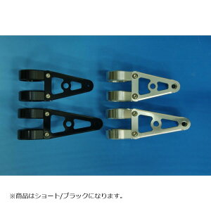 WOODSTOCK (EbhXgbN) wbhCgXe[ A^Cv V[g/ubN tH[Na36p WLS-A36S-BK