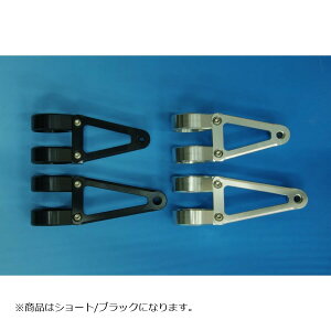 WOODSTOCK (EbhXgbN) wbhCgXe[ C^Cv V[g/ubN tH[Na38p WLS-C38S-BK