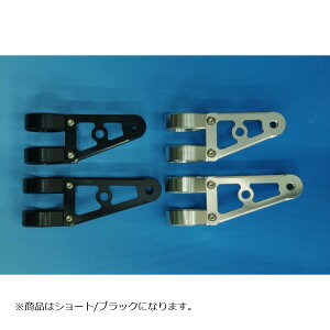 WOODSTOCK (EbhXgbN) wbhCgXe[ D^Cv V[g/ubN tH[Na41p WLS-D41S-BK