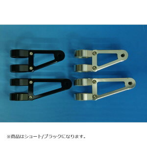 WOODSTOCK (EbhXgbN) wbhCgXe[ F^Cv V[g/ubN tH[Na41p WLS-F41S-BK