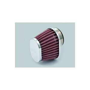 Daytona (fCgi) p[tB^[ I[o 49mm