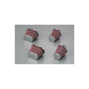 Daytona (fCgi) p[tB^[ 35mm