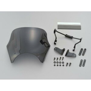 Daytona (fCgi) uXgoA[ X[N u250