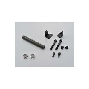 Daytona (fCgi) }`o[z_[ Vo[ GSX250R