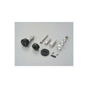 Daytona (fCgi) o[Gh~[A_v^[WAVE BK