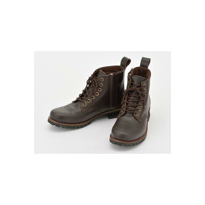 Daytona (fCgi) HBS-003 V[gu[c _[NuE 24.5