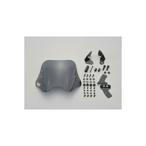 Daytona (fCgi) EChV[h XN[ SS: WNT[150(20