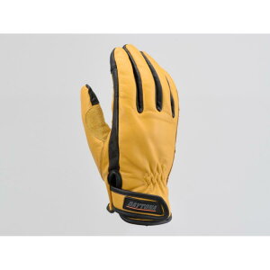 Daytona (fCgi) O[u HBG109JEU[STD^b`/YL/L