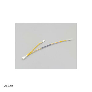 Daytona (fCgi) ^R[^[n[lX u250 REBEL250 26229