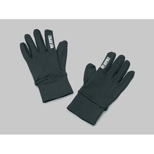 Daytona (fCgi) HBV-033 zbgoC| 4WAYXgb`Ci[O[u ubN/ M 27629